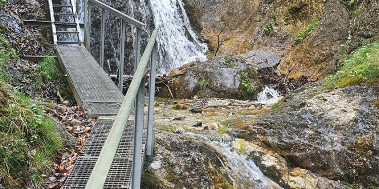 Kolejna wycieczka z Fundacją Dunajec